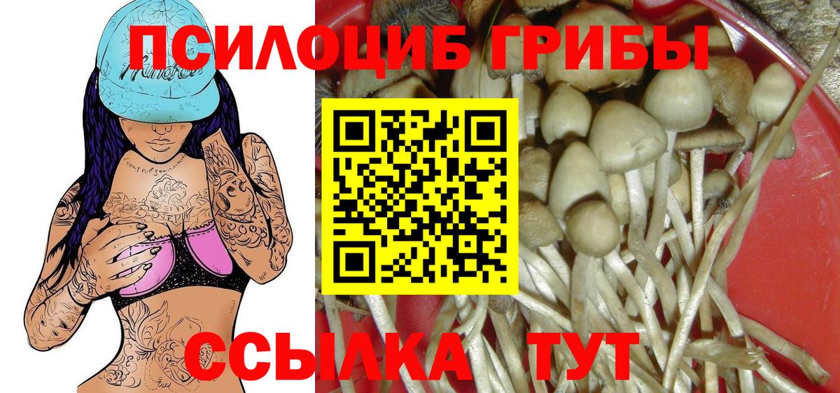 Псилоцибиновые грибы ЛСД Александров