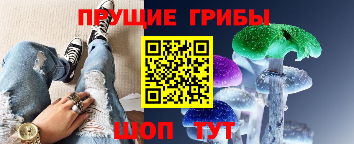 Галлюциногенные грибы Psilocybe  Вход с VPN  Александров 